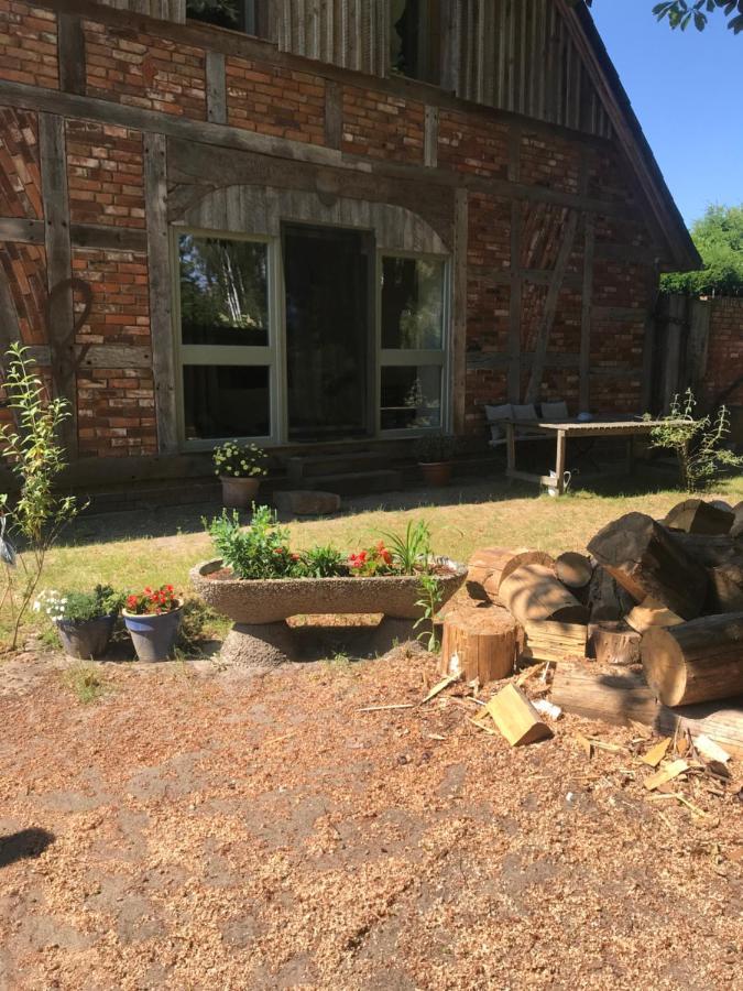 Gemuetliche Ferienwohnung An Der Elbe Bleckede Exterior foto