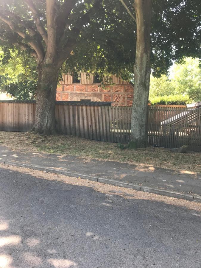 Gemuetliche Ferienwohnung An Der Elbe Bleckede Exterior foto